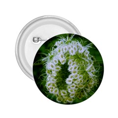 Green Closing Queen Annes Lace 2 25  Buttons by okhismakingart