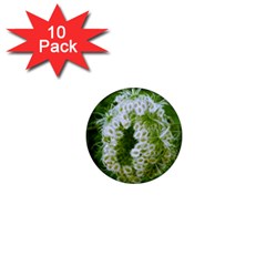 Green Closing Queen Annes Lace 1  Mini Magnet (10 Pack)  by okhismakingart