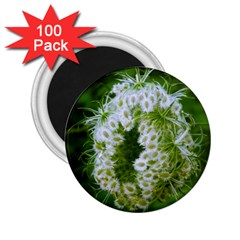 Green Closing Queen Annes Lace 2 25  Magnets (100 Pack)  by okhismakingart