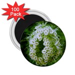 Green Closing Queen Annes Lace 2.25  Magnets (100 pack)  Front