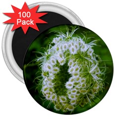 Green Closing Queen Annes Lace 3  Magnets (100 Pack) by okhismakingart