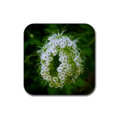 Green Closing Queen Annes Lace Rubber Coaster (square)  by okhismakingart