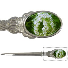 Green Closing Queen Annes Lace Letter Opener by okhismakingart