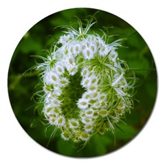 Green Closing Queen Annes Lace Magnet 5  (round) by okhismakingart