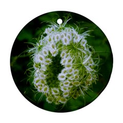 Green Closing Queen Annes Lace Round Ornament (two Sides) by okhismakingart