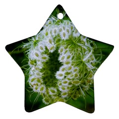 Green Closing Queen Annes Lace Star Ornament (two Sides) by okhismakingart