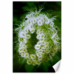 Green Closing Queen Annes Lace Canvas 12  X 18  by okhismakingart