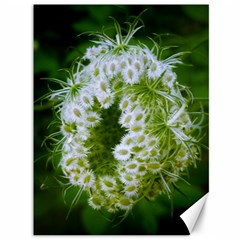 Green Closing Queen Annes Lace Canvas 36  X 48  by okhismakingart