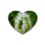 Green Closing Queen Annes Lace Rubber Coaster (Heart)  Front