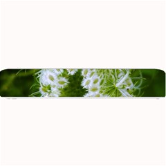 Green Closing Queen Annes Lace Small Bar Mats by okhismakingart