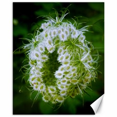 Green Closing Queen Annes Lace Canvas 11  X 14  by okhismakingart