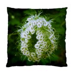 Green Closing Queen Annes Lace Standard Cushion Case (Two Sides) Back