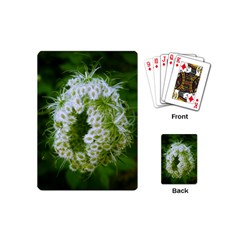 Green Closing Queen Annes Lace Playing Cards (mini) by okhismakingart