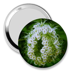 Green Closing Queen Annes Lace 3  Handbag Mirrors by okhismakingart