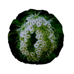 Green Closing Queen Annes Lace Standard 15  Premium Round Cushions by okhismakingart