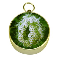 Green Closing Queen Annes Lace Gold Compasses by okhismakingart