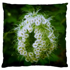 Green Closing Queen Annes Lace Large Flano Cushion Case (one Side) by okhismakingart