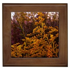 Goldenrod Version Ii Framed Tiles by okhismakingart