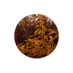 Goldenrod Version Ii Magnet 3  (round) by okhismakingart