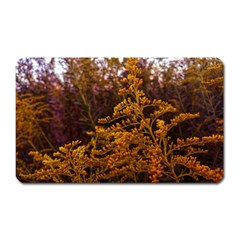 Goldenrod Version Ii Magnet (rectangular) by okhismakingart