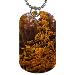 Goldenrod Version Ii Dog Tag (one Side) by okhismakingart