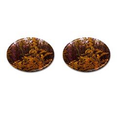 Goldenrod Version Ii Cufflinks (oval) by okhismakingart