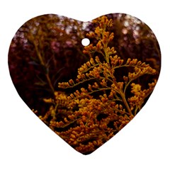 Goldenrod Version Ii Heart Ornament (two Sides) by okhismakingart