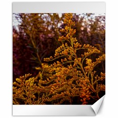 Goldenrod Version Ii Canvas 16  X 20  by okhismakingart