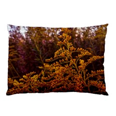 Goldenrod Version Ii Pillow Case by okhismakingart