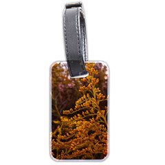 Goldenrod Version Ii Luggage Tags (two Sides) by okhismakingart