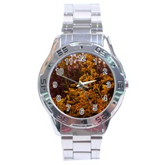 Goldenrod Version Ii Stainless Steel Analogue Watch by okhismakingart