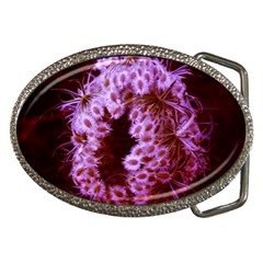 Purple Closing Queen Annes Lace Belt Buckles by okhismakingart