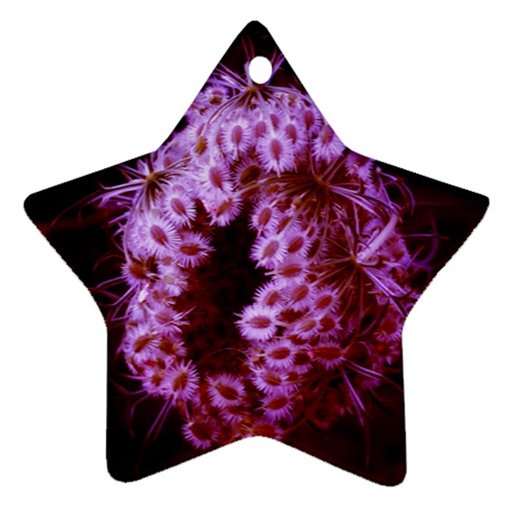 Purple Closing Queen Annes Lace Star Ornament (Two Sides)