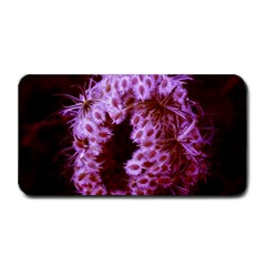 Purple Closing Queen Annes Lace Medium Bar Mats by okhismakingart