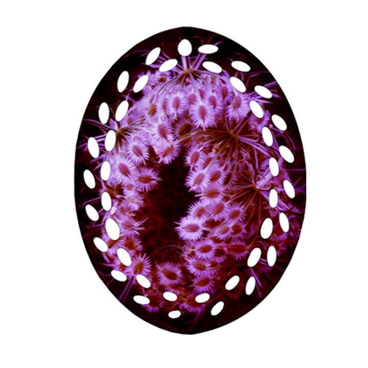 Purple Closing Queen Annes Lace Oval Filigree Ornament (Two Sides)