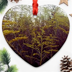 Purple And Yellow Goldenrod Ornament (heart) by okhismakingart