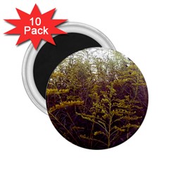 Purple And Yellow Goldenrod 2 25  Magnets (10 Pack)  by okhismakingart