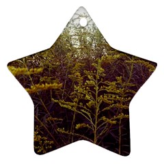 Purple And Yellow Goldenrod Star Ornament (two Sides) by okhismakingart