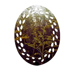 Purple And Yellow Goldenrod Ornament (oval Filigree) by okhismakingart