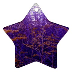 Yellow And Blue Goldenrod Star Ornament (two Sides) by okhismakingart