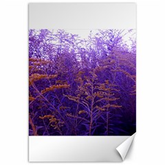 Yellow And Blue Goldenrod Canvas 20  X 30  by okhismakingart