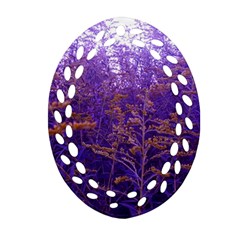 Yellow And Blue Goldenrod Ornament (oval Filigree) by okhismakingart