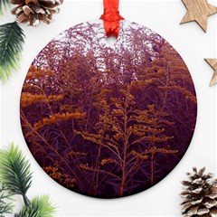 Red And Yellow Goldenrod Ornament (round) by okhismakingart