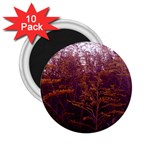 Red and Yellow Goldenrod 2.25  Magnets (10 pack)  Front