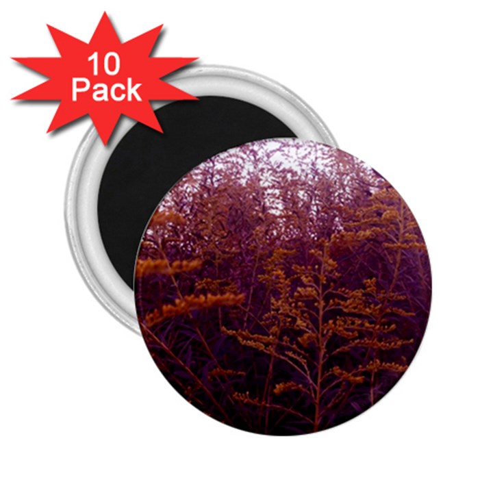 Red and Yellow Goldenrod 2.25  Magnets (10 pack) 