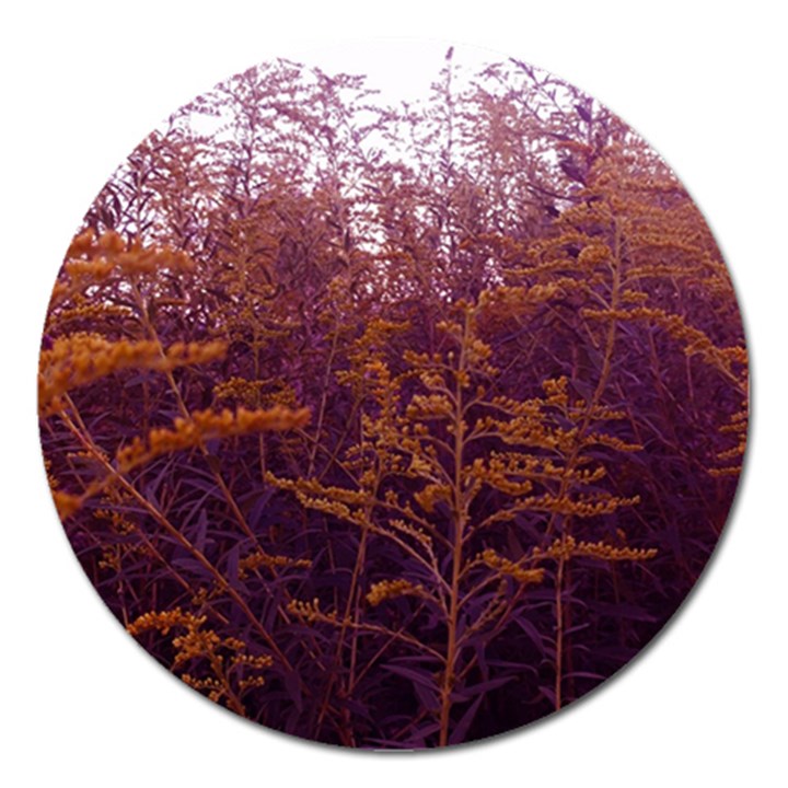 Red and Yellow Goldenrod Magnet 5  (Round)