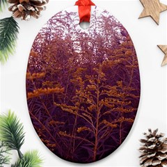 Red And Yellow Goldenrod Oval Ornament (two Sides) by okhismakingart