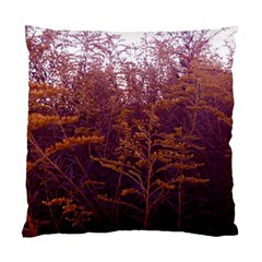 Red And Yellow Goldenrod Standard Cushion Case (two Sides) by okhismakingart