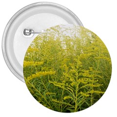 Yellow Goldenrod 3  Buttons by okhismakingart