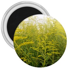 Yellow Goldenrod 3  Magnets by okhismakingart